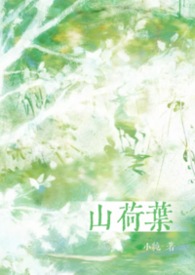 山荷叶合剂价格